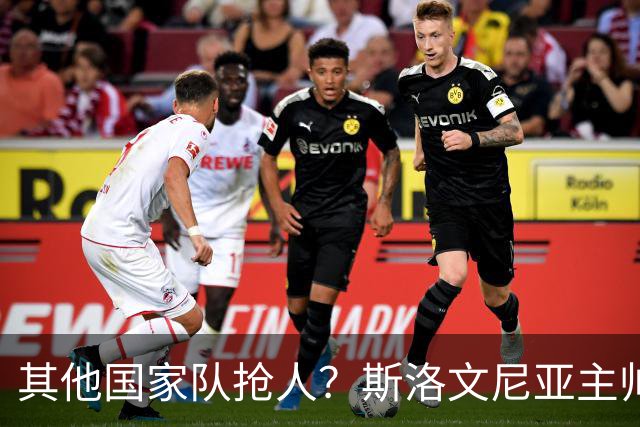 其他国家队抢人？斯洛文尼亚主帅：会在合适的时候召入托帕洛维奇